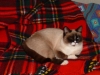dscf0071